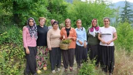 Bu 'doktor' bambaşka! Köylüler şifalı olarak anıyor