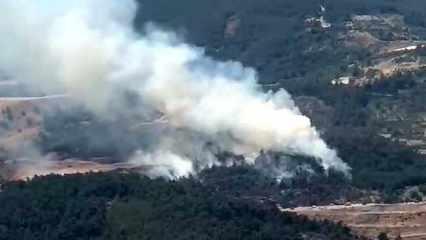 Manisa'da orman yangını: Müdahale sürüyor