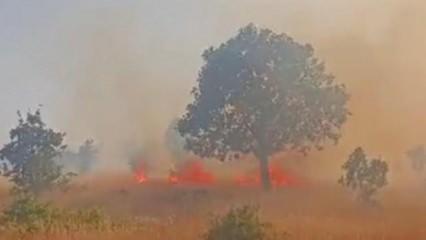 Mardin’de 5 ayrı noktada çıkan yangın devam ediyor