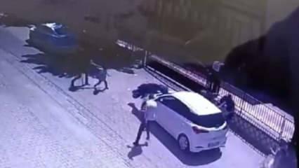 Mardin&rsquo;de kayınvalidesini &ouml;nce darp eden gelin, daha sonra otomobiliyle &ccedil;arptı