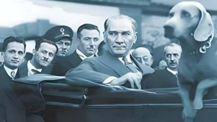 Algıları çürüten gerçek: Atatürk tarihe "köpek öldüren lider" olarak mı geçti?