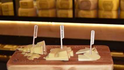 Bakanlıktan kaşar peyniri için yeni uygulama