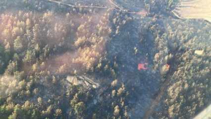 Bodrum'daki orman yangını 18 saat sonra kontrol altında