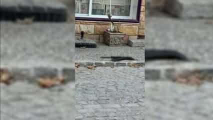 Elektrik kabloları yine görüntülendi! İzmir'de pes dedirten skandal