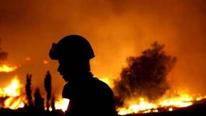 Yunanistan'da son 24 saatte 45 orman yangını çıktı