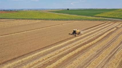 Gökhöyük Tarım İşletmesi, ihaleyle meyve bahçesi ve tarım arazisi kiraya verecek