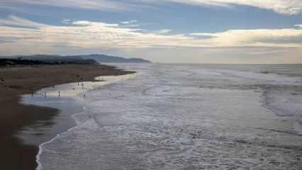 Küresel ısınmanın etkileri hayvanlarda cinsiyet değişimine neden oldu