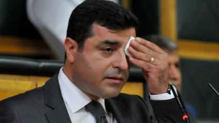 Selahattin Demirtaş'a yargılandığı davada 2,5 yıl hapis