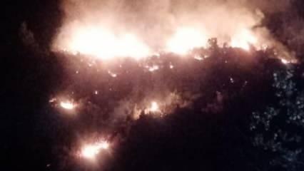 Antalya ve İzmir'de orman yangını
