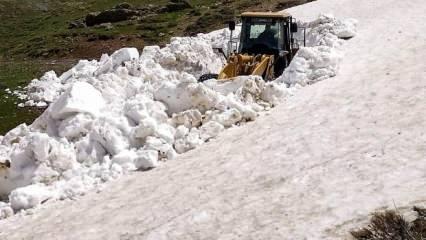 Van'da kardan kapalı olan yayla yolları açıldı