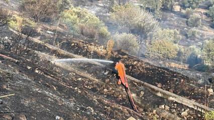 Aydın'da ağaçlık alanda çıkan yangın kontrol altına alındı
