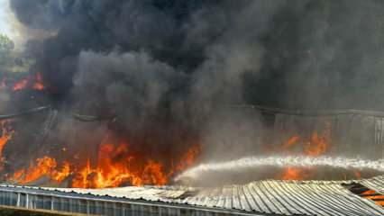 Bursa'da fabrika yangını: Ekipler bölgede!