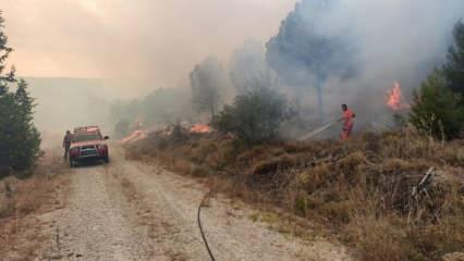 Çanakkale'de ormanlık alanda yangın!