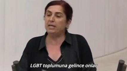 DEM Parti'li Sevilay Çelenk Meclis'te LGBT hareketini savundu! Skandal sözler