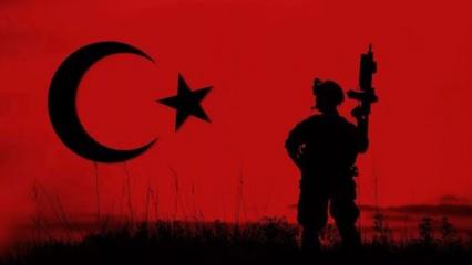 En detaylı Türkiye ve Yunanistan'ın ordu ve askeri güç karşılaştırması
