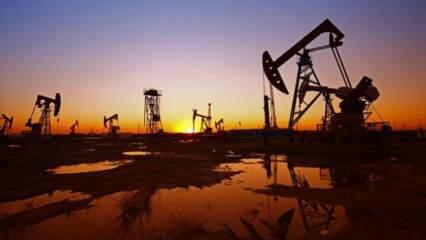 İran el koymuştu: Tüpraş 1 milyon varil petrolünü geri aldı