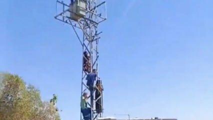 'Kaçak elektrik hakkımız' deyip direğe çıktılar