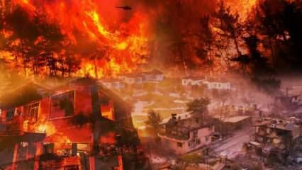 Türkiye tarihinin en büyük yangını olarak kayıtlara geçti! Kara toprak yeniden yeşerdi...