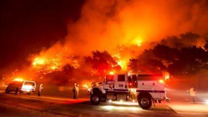 ABD California'da yaşanan yangından korku dolu anlar
