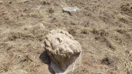 Bakan Ersoy duyurdu: Olağan&uuml;st&uuml; bir buluntu!