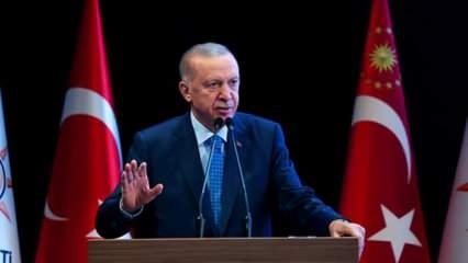 Erdoğan'dan son dakika başıboş sokak köpeği açıklaması: Yalan ve çarpıtma