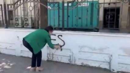 DEM Partili Zeynep Oduncu'dan 'Kürtçe' provokasyon
