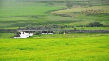 Erzurum mera ve &ccedil;ayır zengini