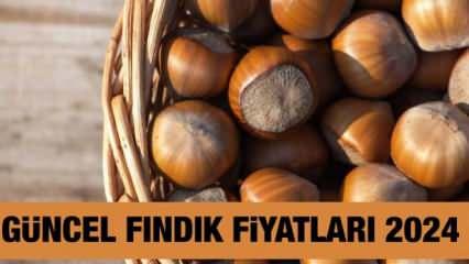 Fındık fiyatı ne kadar, kaç TL 3 Kasım 2024? Trabzon, Ordu, Giresun, Samsun, Sakarya, Düzce güncel fındık fiyatları