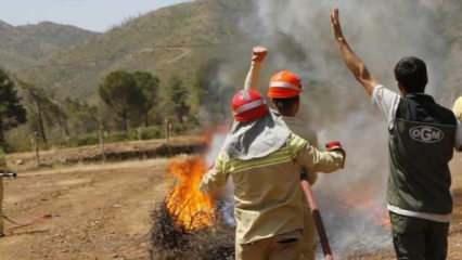 Muğla'nın "alev savaşçıları" yangınlarla mücadeleye her an hazır