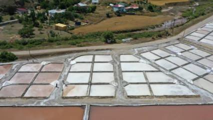 Sivas'ın 84 mineral içeren kaynak tuzu tescil yolunda