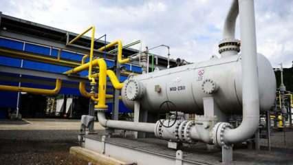 Avrupa gaz fiyatları da k&uuml;resel satış dalgasına kapıldı