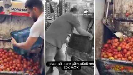Bakanlık harekete geçti! Domatesleri çöpe döken işletmeye ceza yağdı 