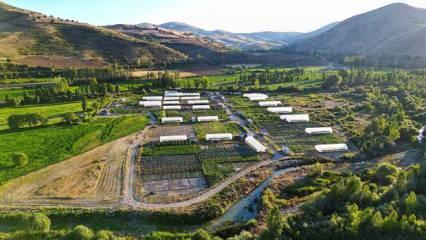 Bayburt'ta sebze ihtiyacının üçte biri ekolojik köyden karşılanıyor