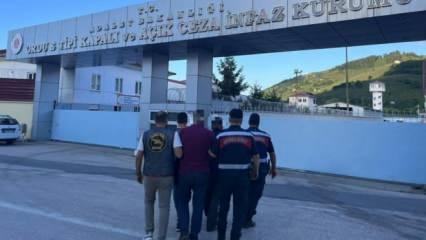 Ordu’da yasadışı kenevir ekimi yapan 2 kişi tutuklandı
