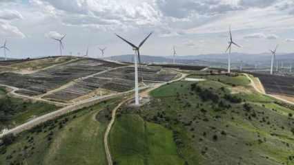 "R&uuml;zgar enerjisi T&uuml;rkiye'de kesintisiz elektrik sağlamada yerli k&ouml;m&uuml;r&uuml;n yerini alabilir"