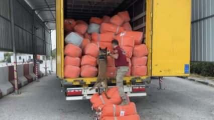 Şüpheli TIR'dan 166 kilo skunk ele geçirildi