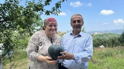 Talihsiz Temel'in yüzünü güldürdü! Kalp şeklindeki karpuz yeni bir sayfa açtı...