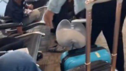 Fare havaalanını birbirine kattı