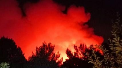 İzmir'deki orman yangını 22 saat sonra kontrol altına alındı
