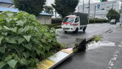 Japonya'da Ampil Tayfunu: 990 uçuş iptal edildi, tren seferleri durduruldu