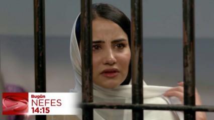 Nefes 28.bölüm fragmanı: Süheyb, Ujala'yı hapisten kurtarabilecek mi? Karakolda...