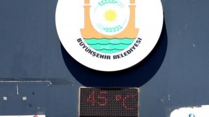 Şehir kavruldu: Termometreler 45 dereceyi gördü!