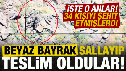 Son dakika: Bakan Yerlikaya duyurdu! Görüntüleri paylaştı: Beyaz bayrakla teslim oldular