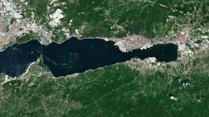 Uzmanlardan korkutan tespit: Oksijeni azalan Marmara Denizi 'komada'!