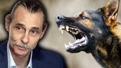 Etimesgut Belediyesi, çocuğu ısıran köpeği yine sokağa bırakacak