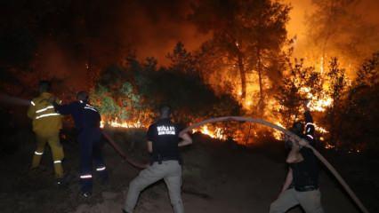İzmir ve Muğla'daki orman yangınlarında yeni tutuklama