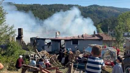 Kastamonu'da yangın: Bir kişi hayatını kaybetti, 3 ev küle döndü