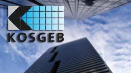 KOSGEB İş Geliştirme Desteği'nin 2024 yılı ilk çağrı başvuruları sonuçlandı