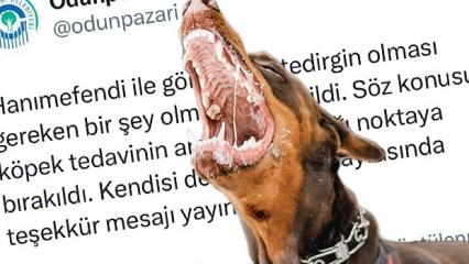 Şikayet edilen köpeği tekrar aynı yere bıraktılar! CHP'li belediye kanunu çiğnedi