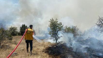 OGM'den Bolu'daki yangınla ilgili son dakika açıklaması!